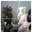 <b>메리</b><b>봉봉</b> 양떼들~!~~