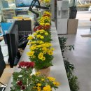 군서면 복지회관 이미지