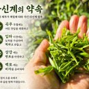 알기 쉬운 차 이야기: 다산 정약용과 차 ⑥- 신의로 맺어진 최초의 차 모임, ‘다신계’
