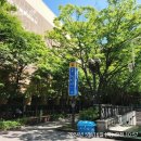 관악타운(동성,현대,청구) | [임장 #11] 평촌신도시 (공작, 한가람, 샛별, 관악)