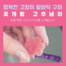고양이와 와사비 이미지