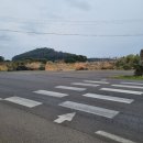 스테이 행원 이미지