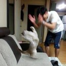 삼월은 인풋의 계절