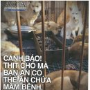 동상동 로데오거리 이미지