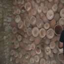 미라농장 이미지