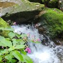 약수골 농장 이미지