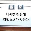 진아네 이미지
