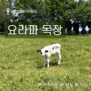 가나안목장 | [경남/사천] 사천 요라파 목장/가족 여행 추천/아이들 체험 목장