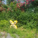 면목동-213 이미지