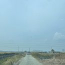 매송로 360번길 이미지