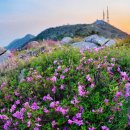 남해-128 이미지