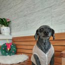 오구오구살롱 이미지