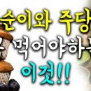 주당 이미지