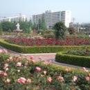 패랭이공원 이미지