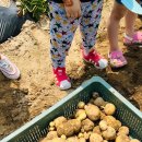 한꽃유치원 이미지