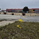 백암초등학교 이미지