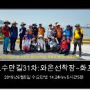 순천만 숲1 이미지