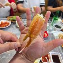안양농수산물센터 전남영광수산 대게 회 가격 후기｜초장집 15호 전라도집까지