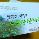 소백산 산나물집