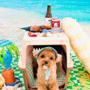 하률로12번길 이미지