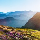 하일마트 이미지