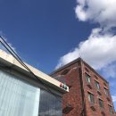 오렌지 애견카페 이미지