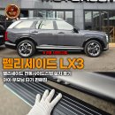 정리수납(야간) | 팰리세이드 전동사이드스텝 가격,장착 후기,주의사항 한 번에 정리