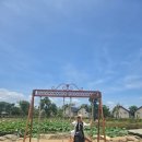 하궁목장 이미지