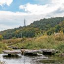 수곡용계로(길안면) 이미지