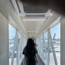 도야지마을 | 도야지들의 제주도 여행기