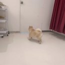 멍더캐슬 이미지