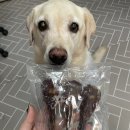 펫잇보리 이미지