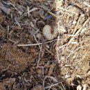 수인농장 이미지