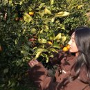 나현농장 이미지