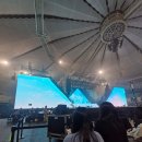 천사들의 노래(동요) | 웬디 솔로 콘서트 앵콜 <W:ealive> 올콘 후기 #다살자콘 💙