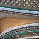 예진음악학원 이미지