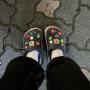 도담에그팜 | 25 10