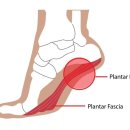 세종시365으랏차한의원 이미지