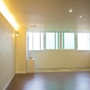 동아목련 이미지