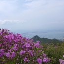 남해-118 이미지