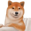 신진초등학교병설유치원 이미지