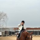 문단열의 아이스폰지 어학원 | 관악구 영어유치원 아이스펀지(iSponge) 솔직 후기