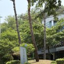 강서구립봉제산어르신복지센터 | 아이와 함께 가볼만한곳 [봉제산 근린공원]주차,놀이터,산책길