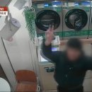 빨래방 매일경제