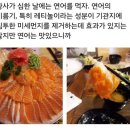 회랑연어랑 이미지