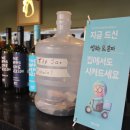 베트남식당 이미지