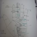 손은 우리몸의 축소판, 수지침 배우기 이미지