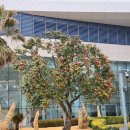 호산나 디오션 남해 이미지