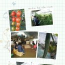 형재농장 이미지