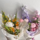 오블리비아떼 이미지